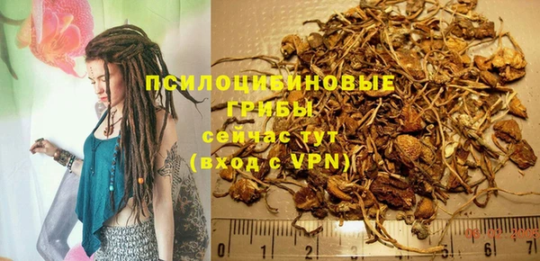 молекула духа Алзамай