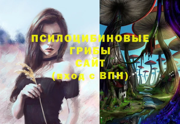 молекула духа Алзамай