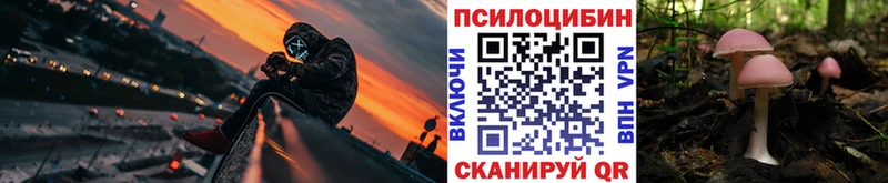 Галлюциногенные грибы Psilocybe  где купить   Сорск 
